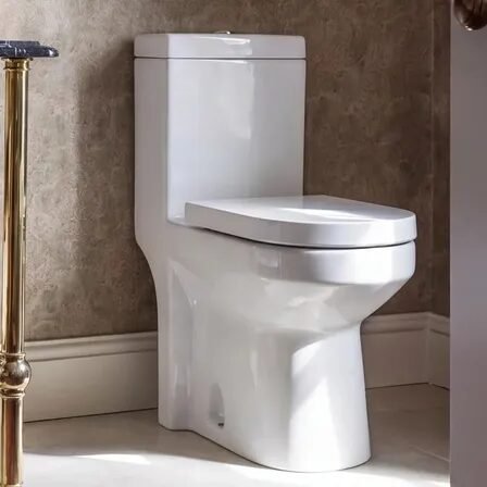 Vaso Sanitário Monobloco Privada Com Caixa Acoplada Grande Branco Brilhante